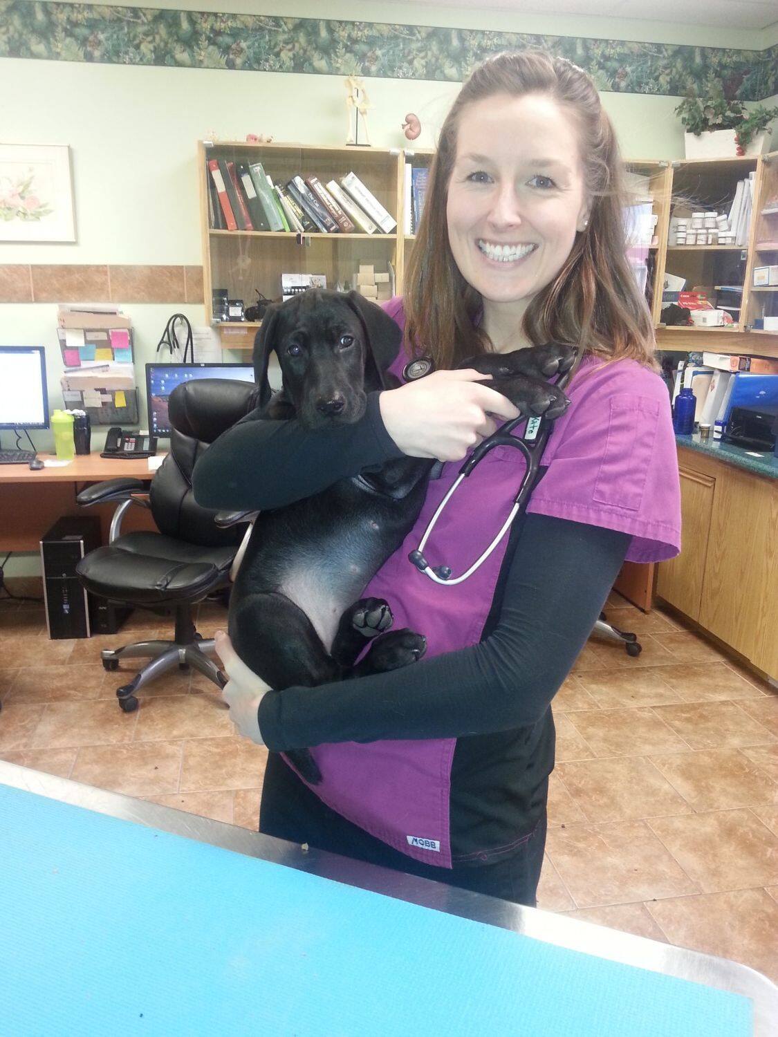 Dr. Kate Kelly holding a black puppy at Three Islands Veterinary Services