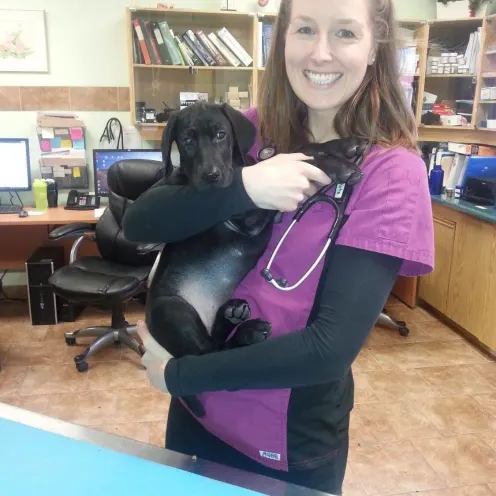 Dr. Kate Kelly holding a black puppy at Three Islands Veterinary Services