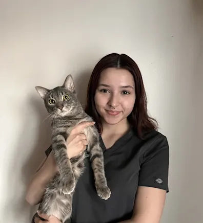 Miranda P Miranda P