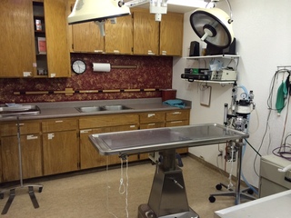 Verde Veterinary Hospital Suite