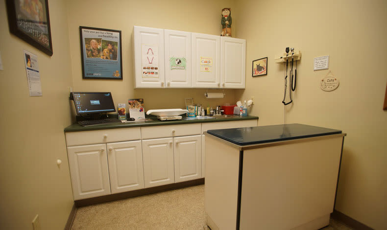 Marbletown Animal Hospital Exam Room