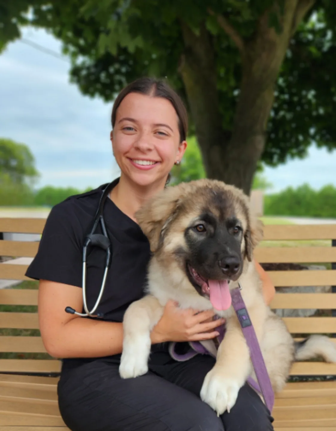 Dr. Maddy Kohut Dr. Maddy Kohut