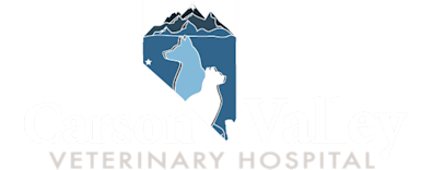 Carson Valley Veterinary Hospital Logo Carson Valley Veterinary Hospital Logo