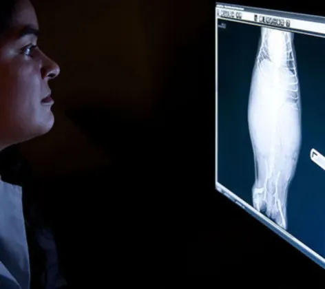 Staff examining an x-ray Staff examining an x-ray