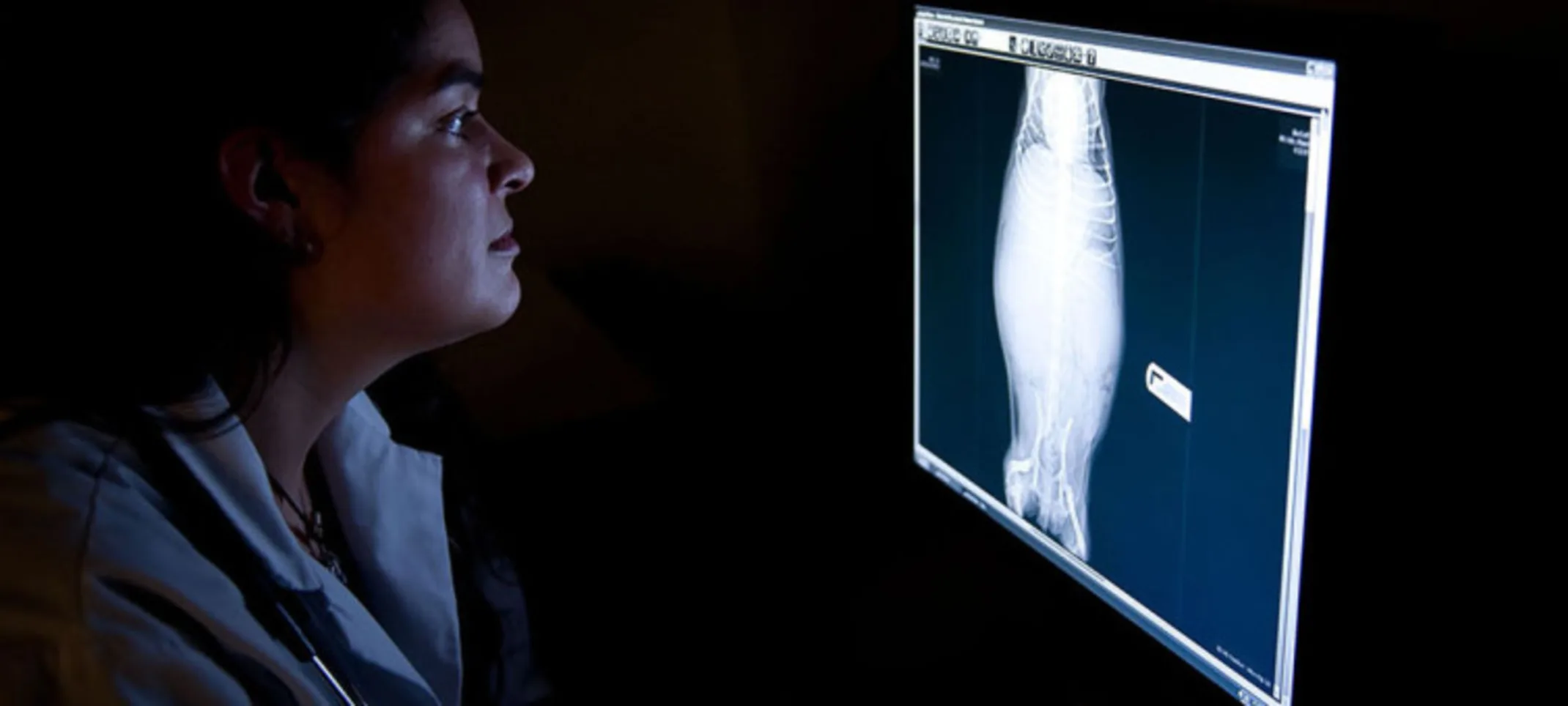 Staff examining an x-ray Staff examining an x-ray