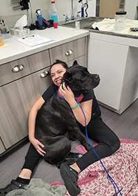 A large puppy with a human