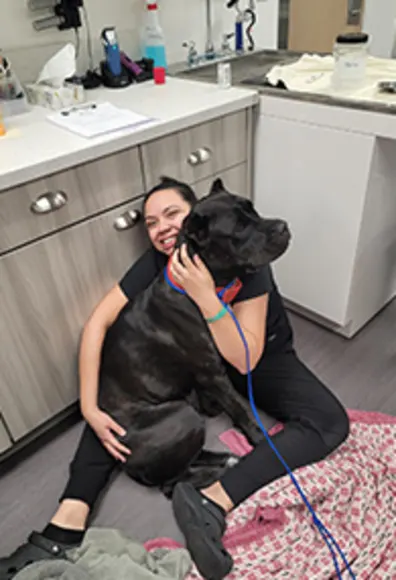 A large puppy with a human A large puppy with a human