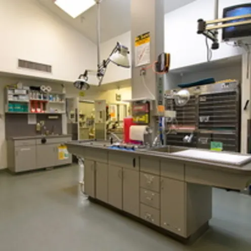 Treatment Room Treatment Room