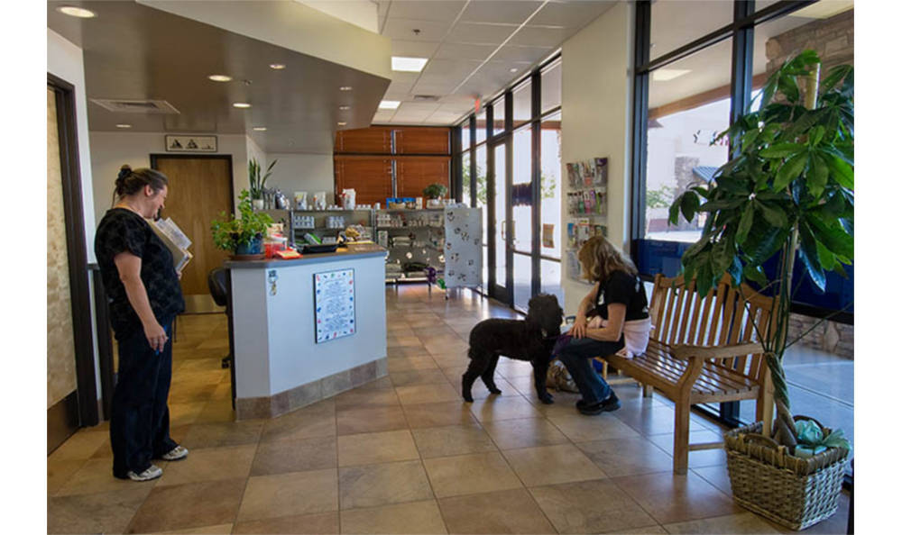 Reception and waiting area