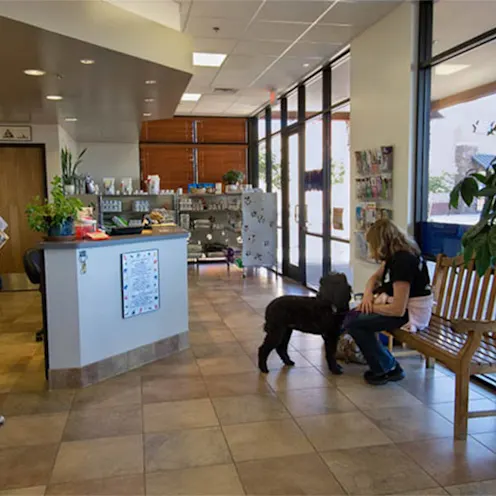 Reception and waiting area Reception and waiting area