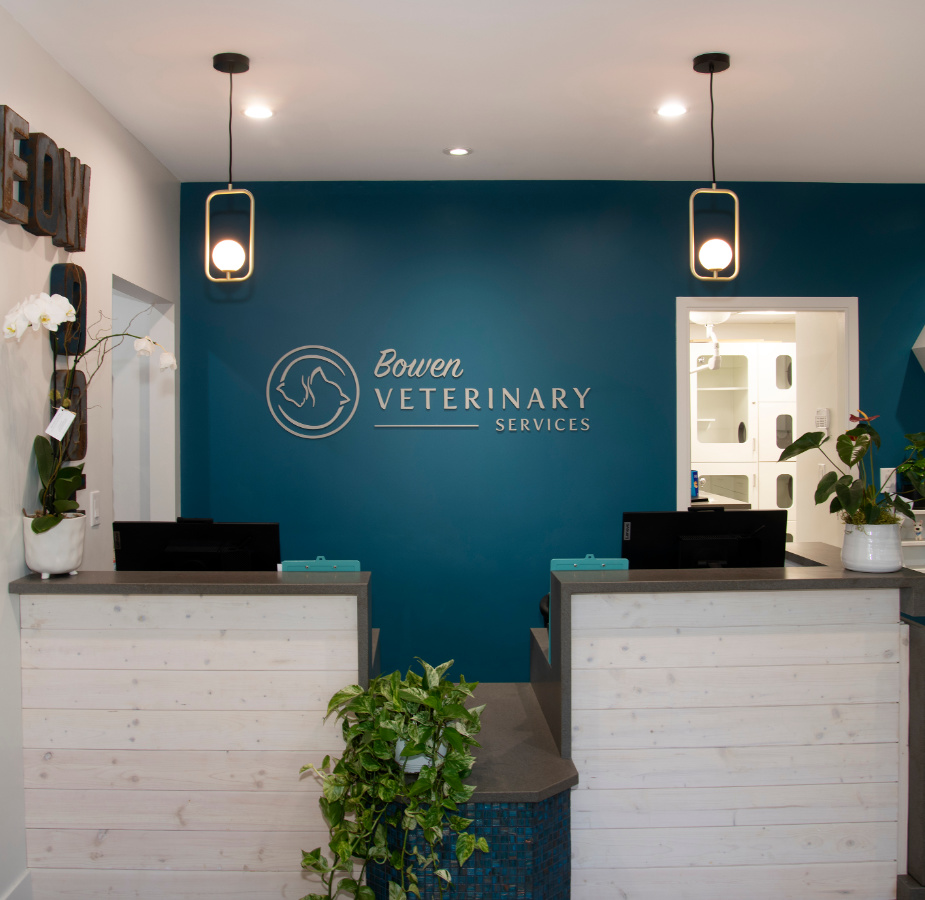 View of the front desk and business sign on the wall