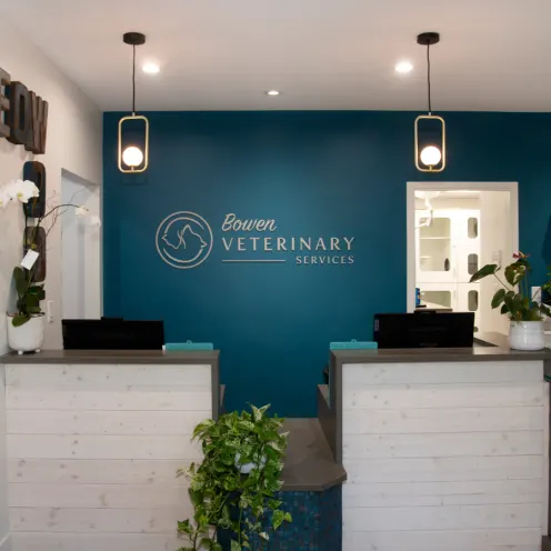 View of the front desk and business sign on the wall