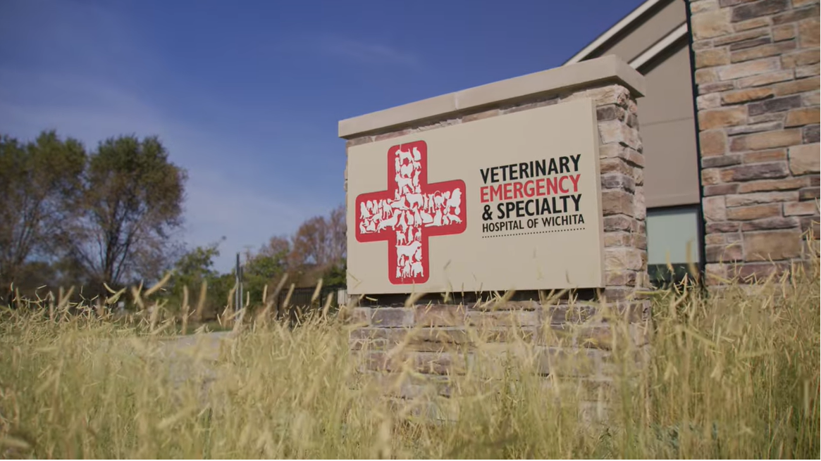 Veterinary Emergency & Specialty Hospital (VESH) Wichita YouTube Screenshot.