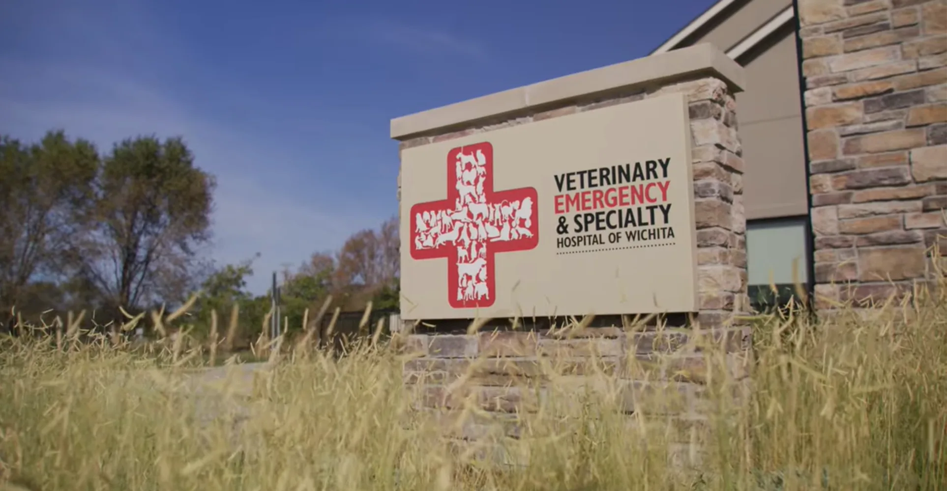 Veterinary Emergency & Specialty Hospital (VESH) Wichita YouTube Screenshot.