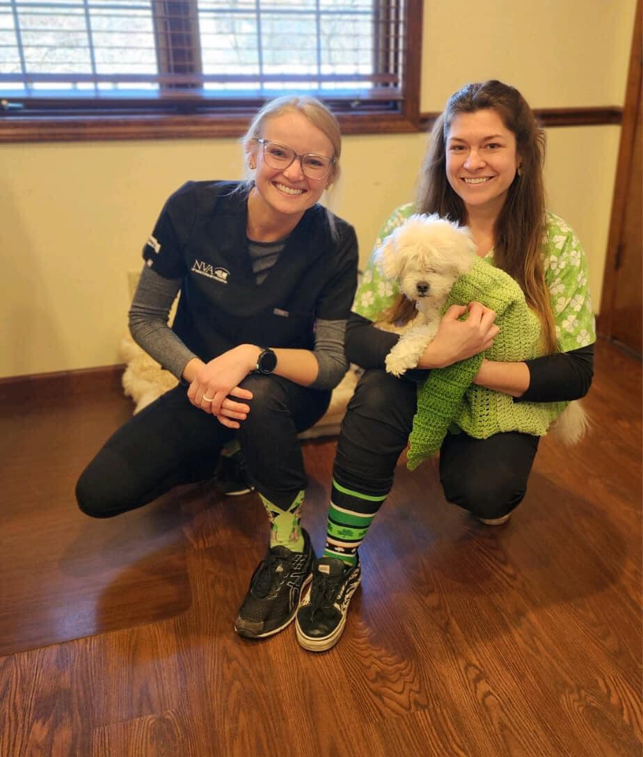 Staff holding dog and smiling