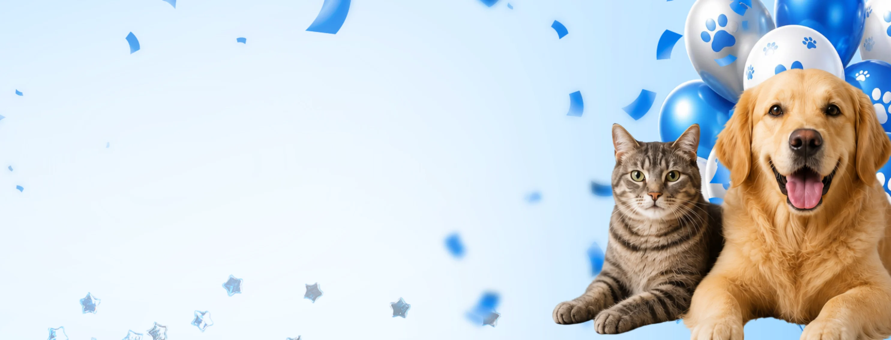 Dog & Cat Looking at Camera in Front of Balloons & Confetti Dog & Cat Looking at Camera in Front of Balloons & Confetti