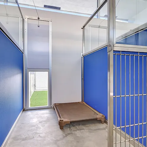 Lauderdale Pet Lodge Indoor Unit Lauderdale Pet Lodge Indoor Unit