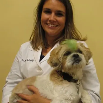Dr. Jessica VanDerWal holding small white dog at Lake Street Animal Hospital