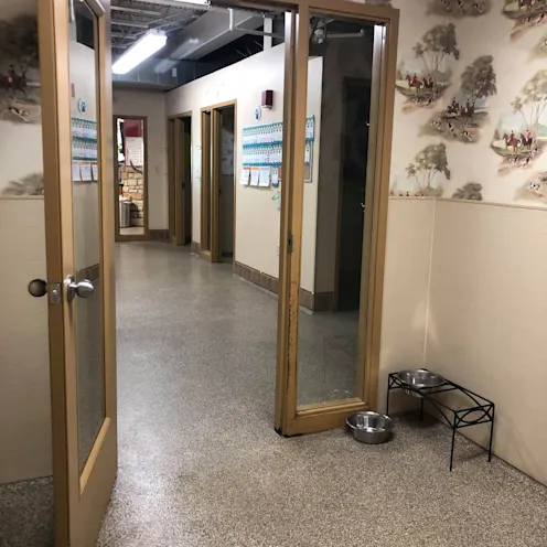 Horse N Hound 9 hall Horse N Hound 9 hall