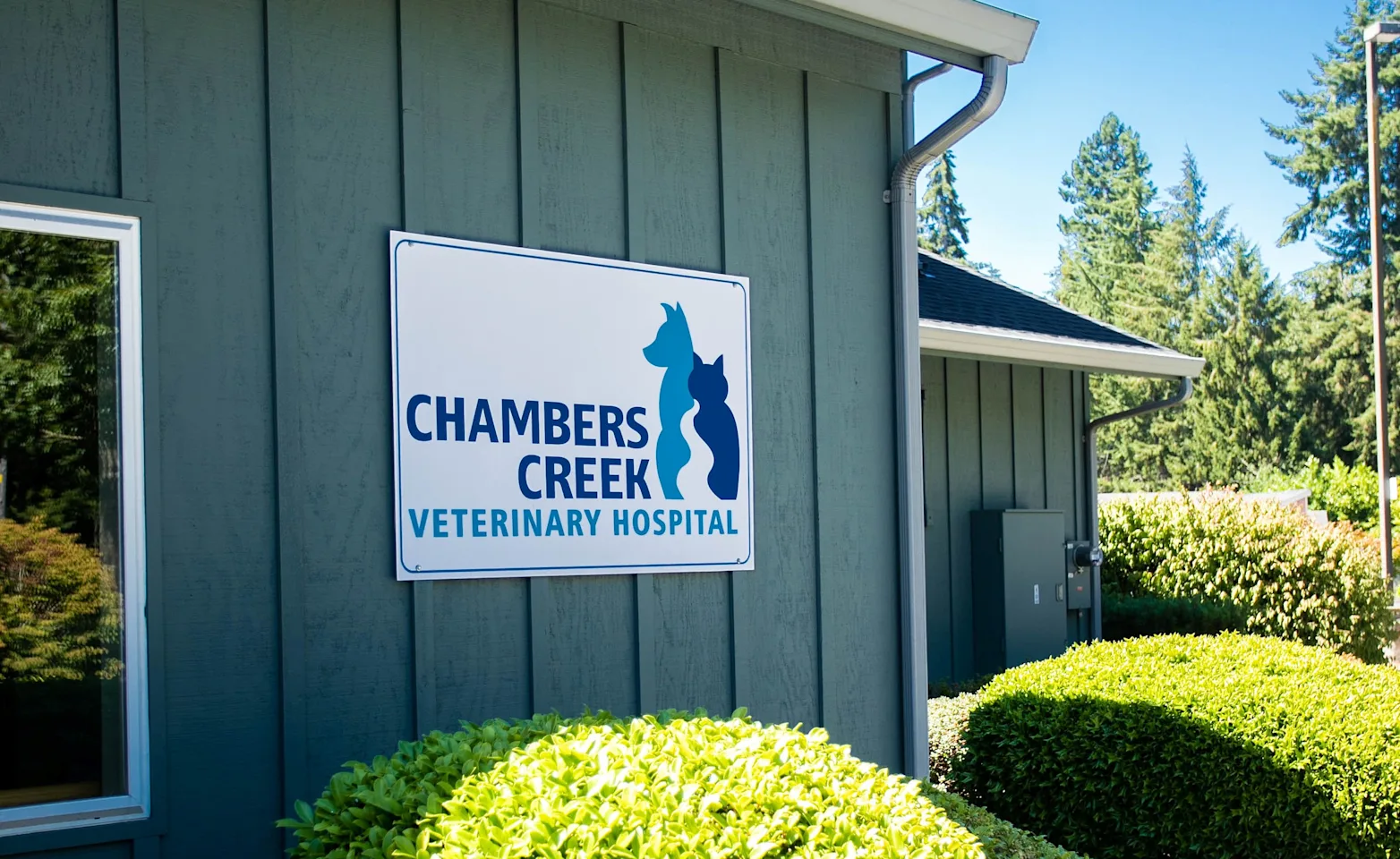 Chambers Creek Veterinary Hospital Chambers Creek Veterinary Hospital