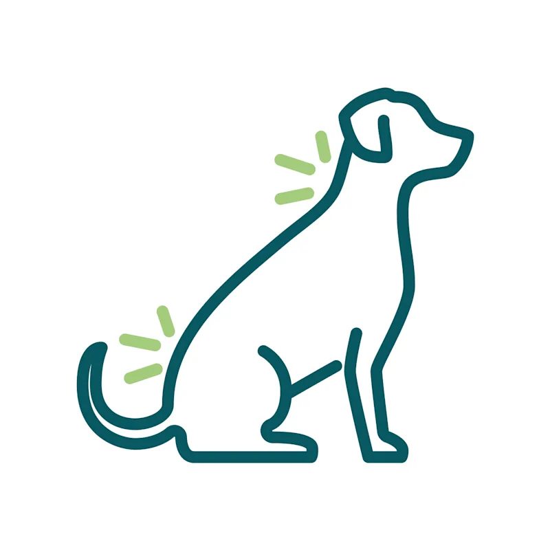 dog with Hot Spots icon dog with Hot Spots icon