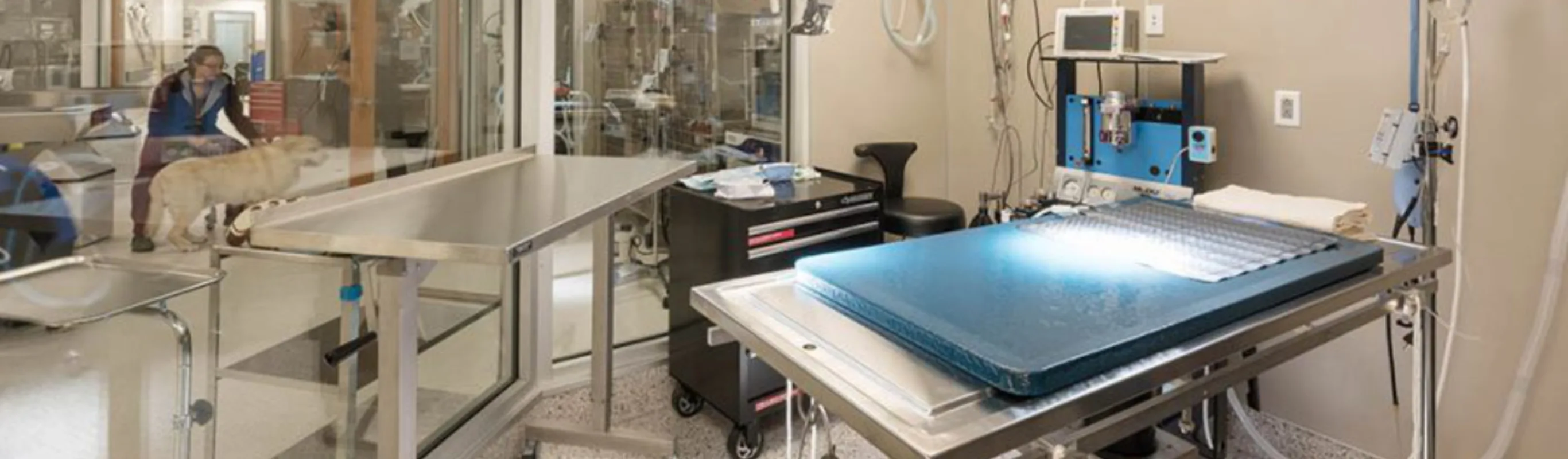 A photo of the exam room at Mountainside Animal Emergency & Specialty Hospital A photo of the exam room at Mountainside Animal Emergency & Specialty Hospital
