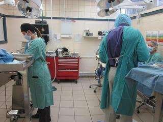 Florissant Animal Hospital Surgery Room