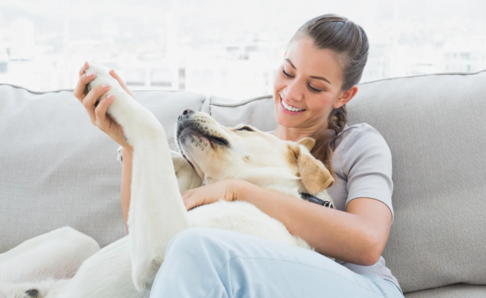 Woman sitting with dog holding their paw on a couch Woman sitting with dog holding their paw on a couch