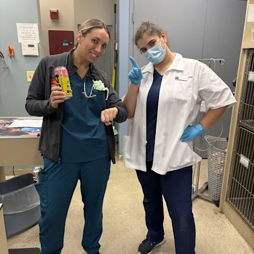 Staff members posing for camera Staff members posing for camera