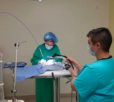 doctors performing surgery doctors performing surgery