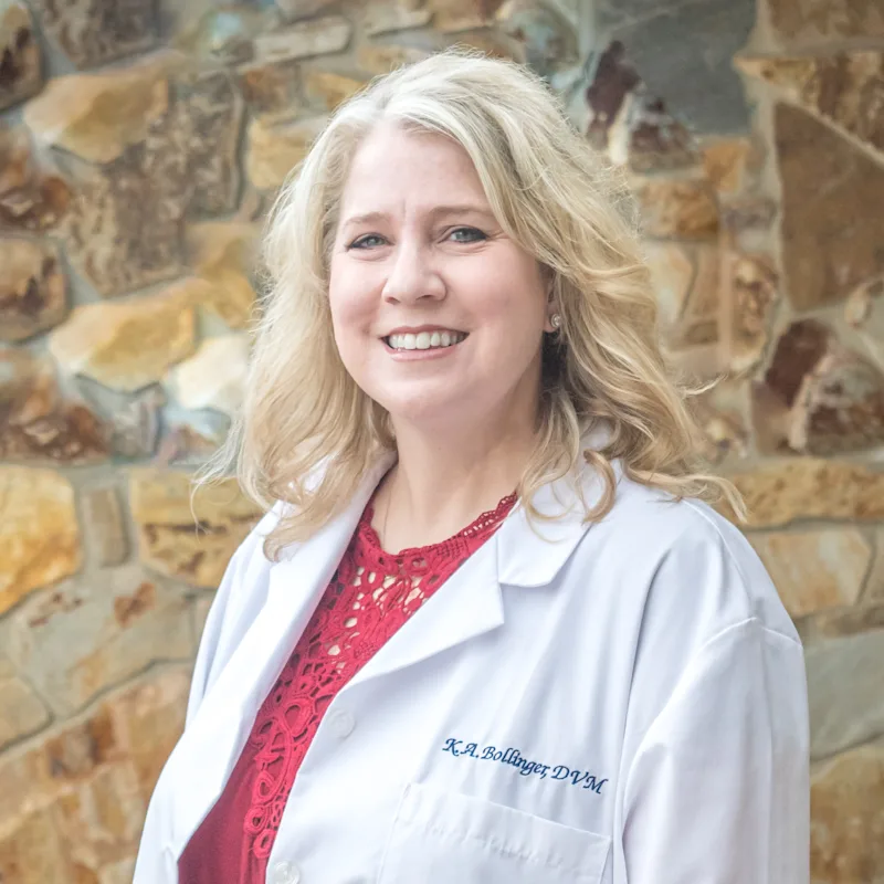 Dr. Kim Bollinger at Animal Care Clinic West & Metro Cat Hospital Dr. Kim Bollinger at Animal Care Clinic West & Metro Cat Hospital