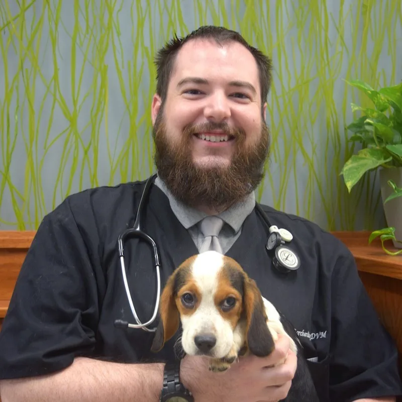 Dr. Mark Borcherding of Naperville Animal Hospital Dr. Mark Borcherding of Naperville Animal Hospital