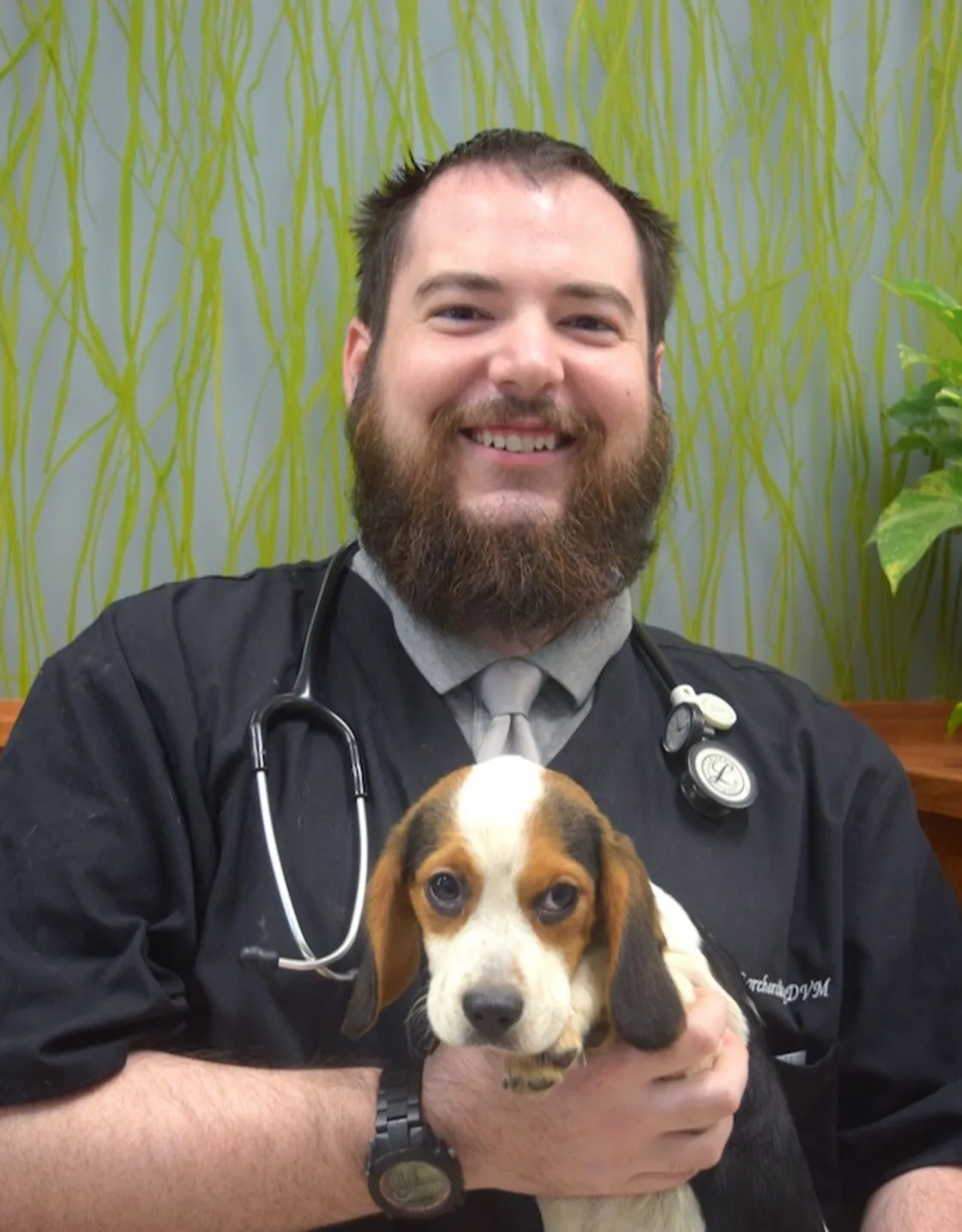 Dr. Mark Borcherding of Naperville Animal Hospital Dr. Mark Borcherding of Naperville Animal Hospital