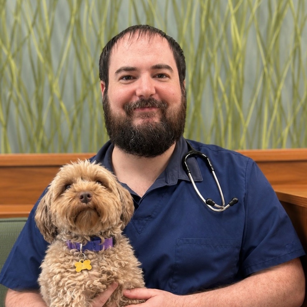 Dr. Mark Borcherding of Naperville Animal Hospital