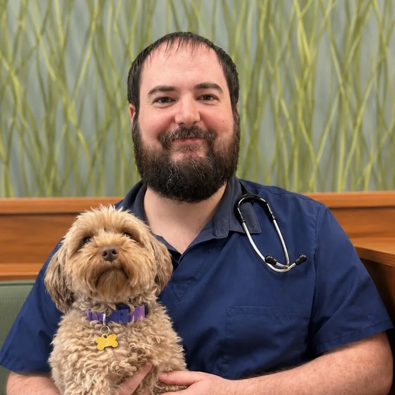 Dr. Mark Borcherding of Naperville Animal Hospital Dr. Mark Borcherding of Naperville Animal Hospital