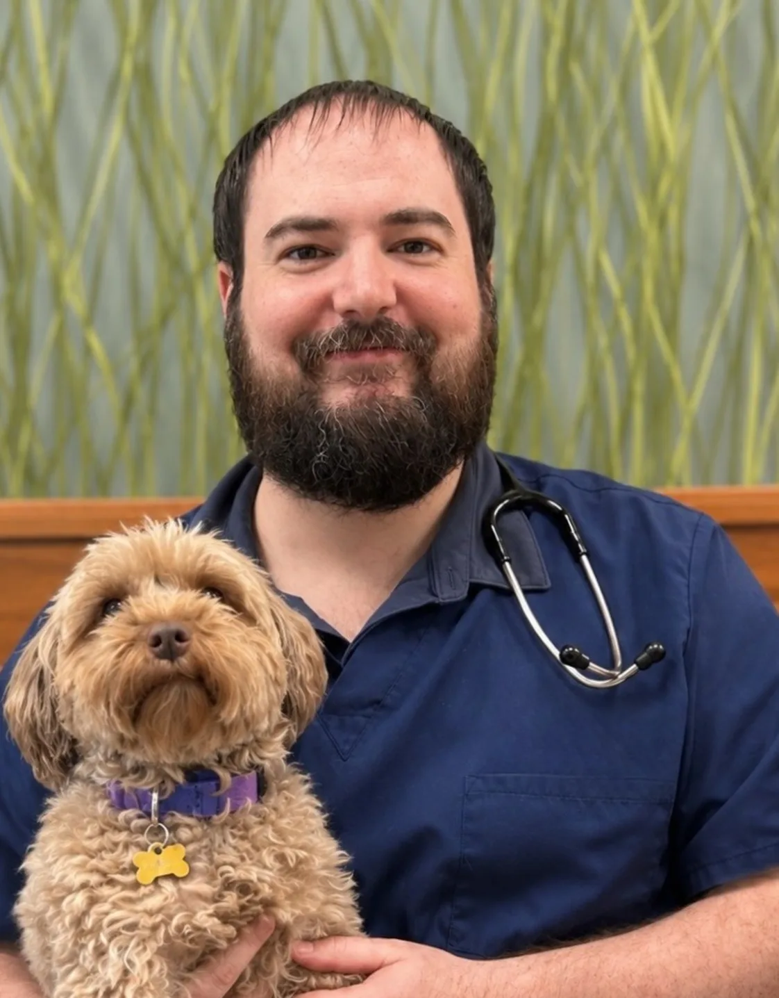 Dr. Mark Borcherding of Naperville Animal Hospital Dr. Mark Borcherding of Naperville Animal Hospital