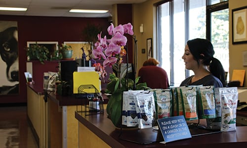 Front desk of Evergreen Veterinary Clinic with flowers, files, and other items