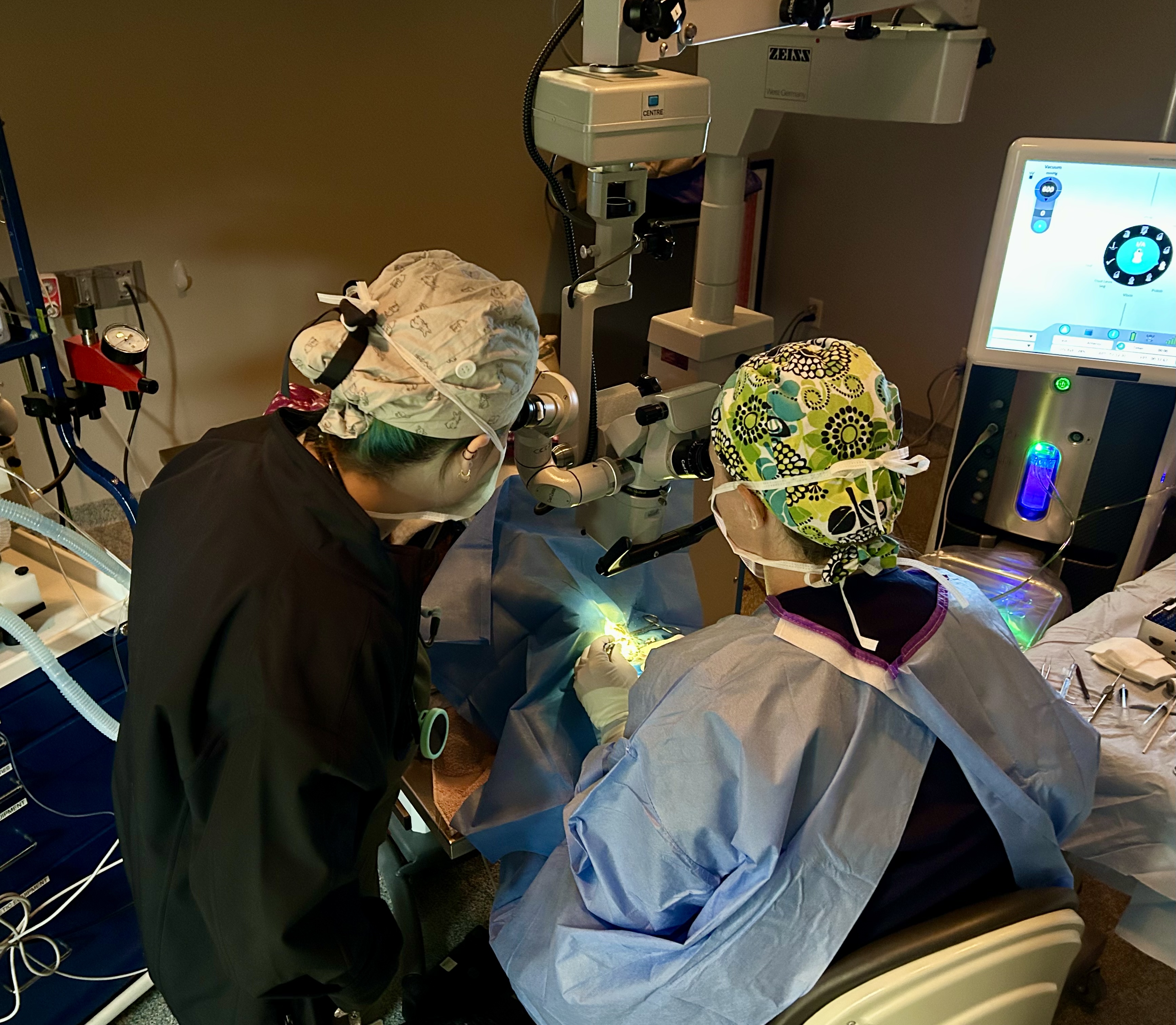 Three veterinary technicians assessing a cat