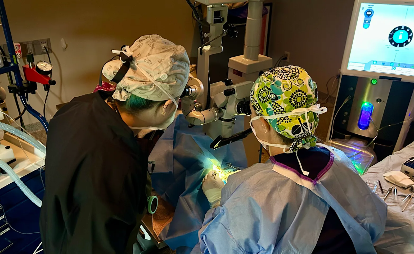 Three veterinary technicians assessing a cat Three veterinary technicians assessing a cat