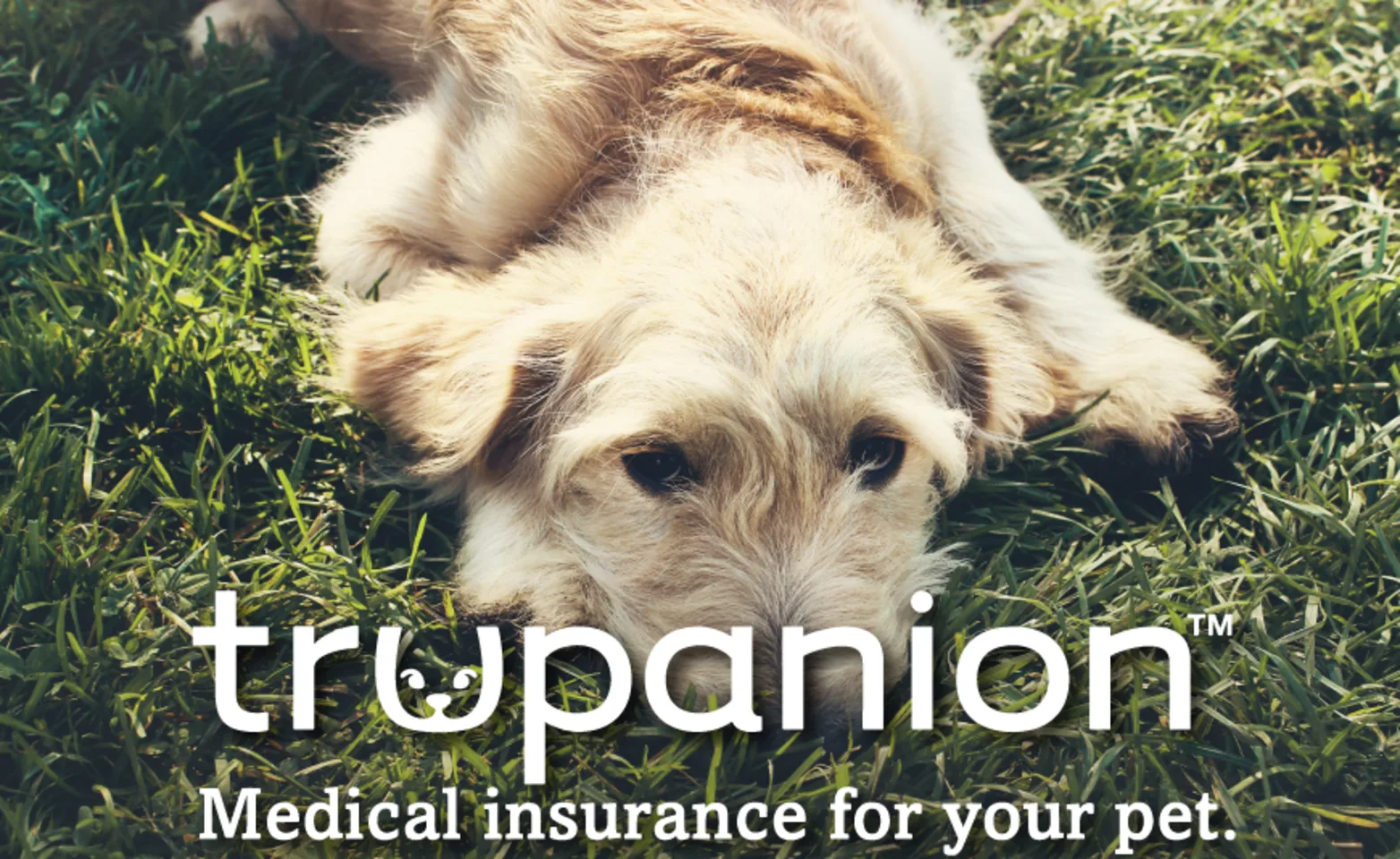 Kernersville Veterinary Hospital Trupanion