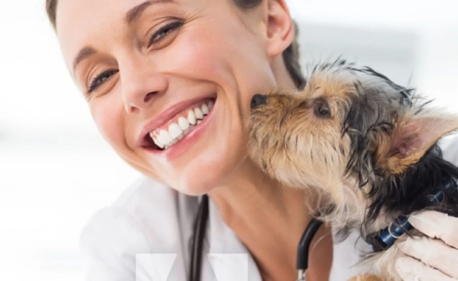 Dog Kissing Woman Doctor Smiling Dog Kissing Woman Doctor Smiling
