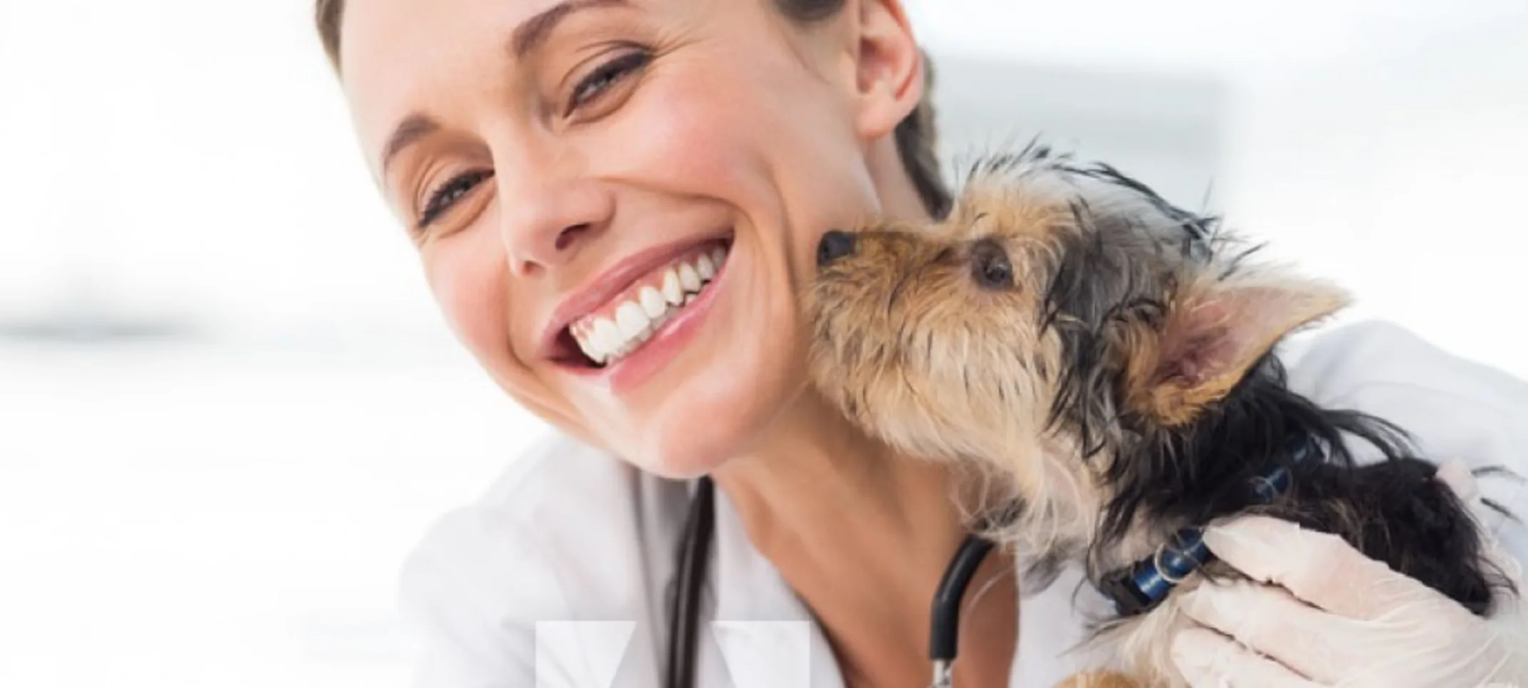 Dog Kissing Woman Doctor Smiling