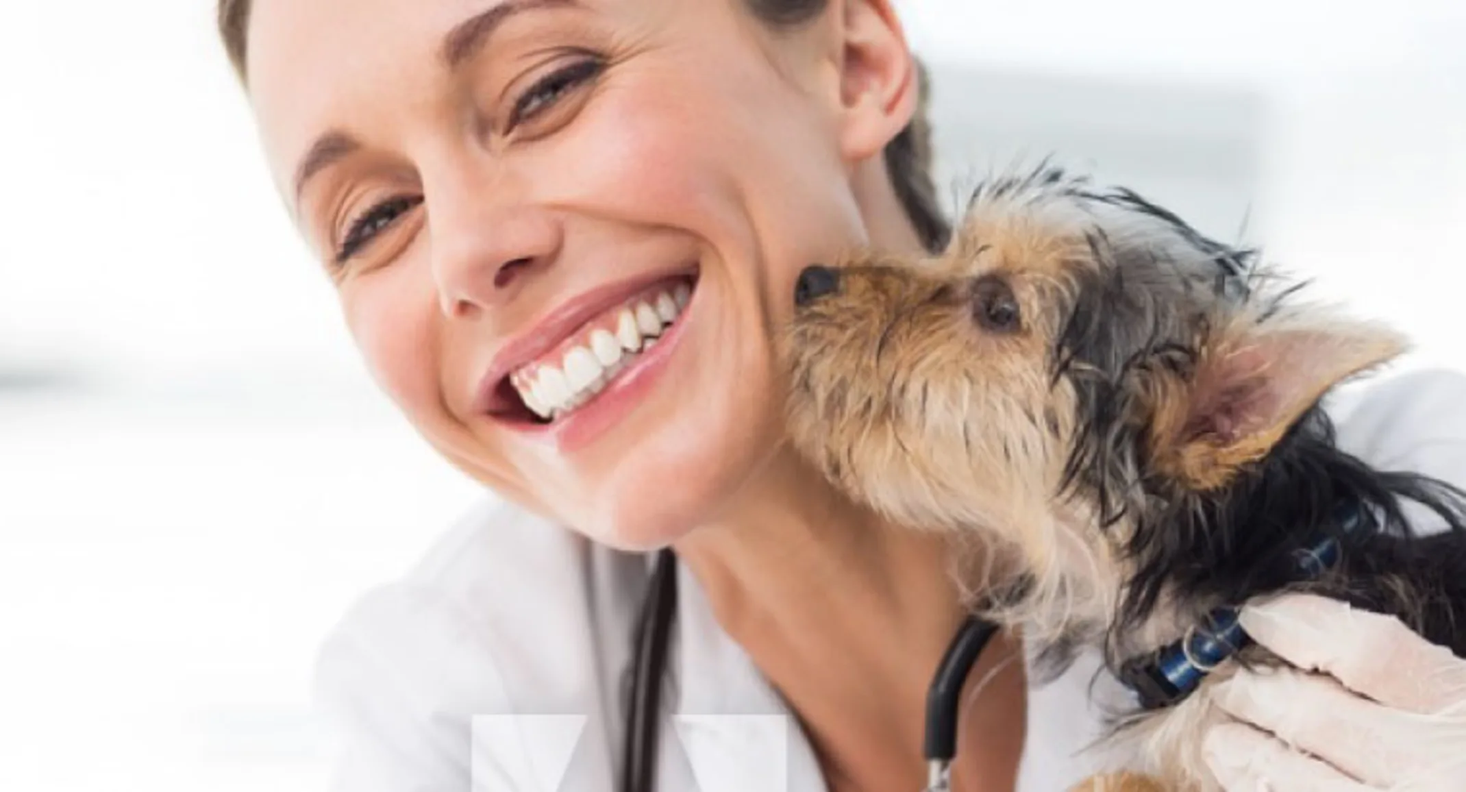 Dog Kissing Woman Doctor Smiling