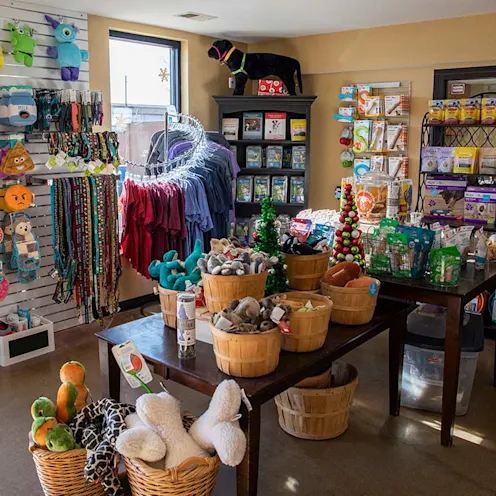 Dogs with play ramp Dogs with play ramp