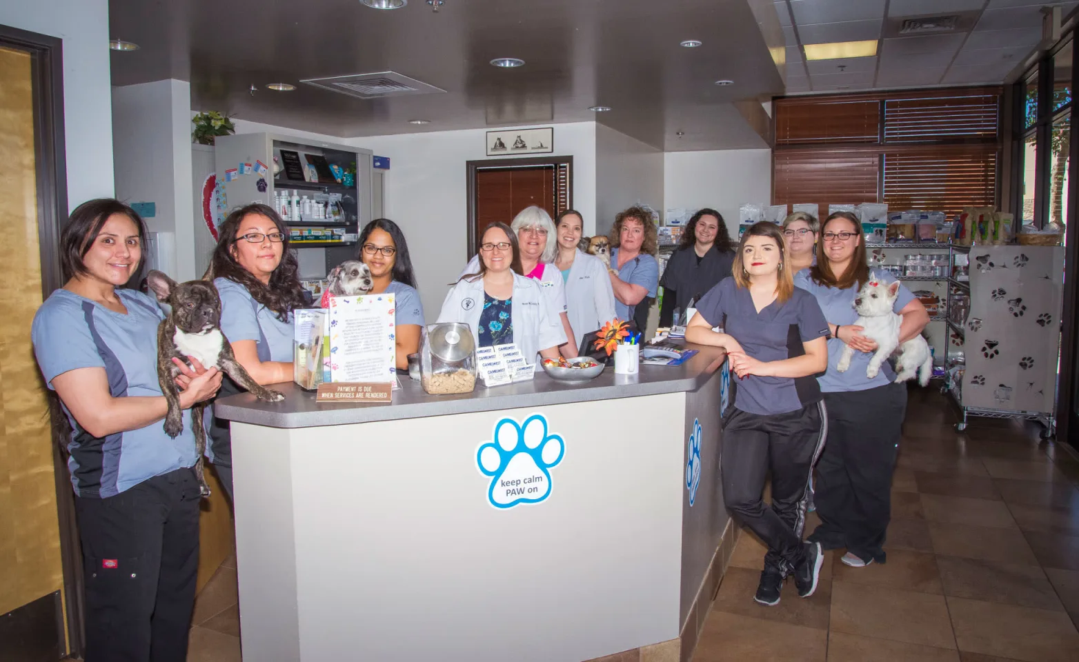 Staff members in the lobby at Camelwest Animal Hospital. Staff members in the lobby at Camelwest Animal Hospital.