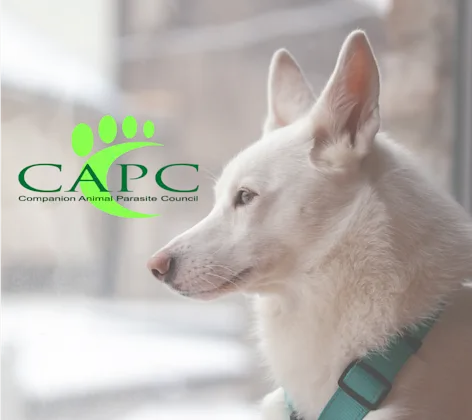 Companion Animal Parasite Council (CAPC) Companion Animal Parasite Council (CAPC)