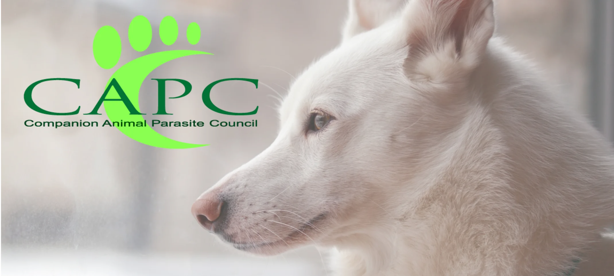 Companion Animal Parasite Council (CAPC) Companion Animal Parasite Council (CAPC)