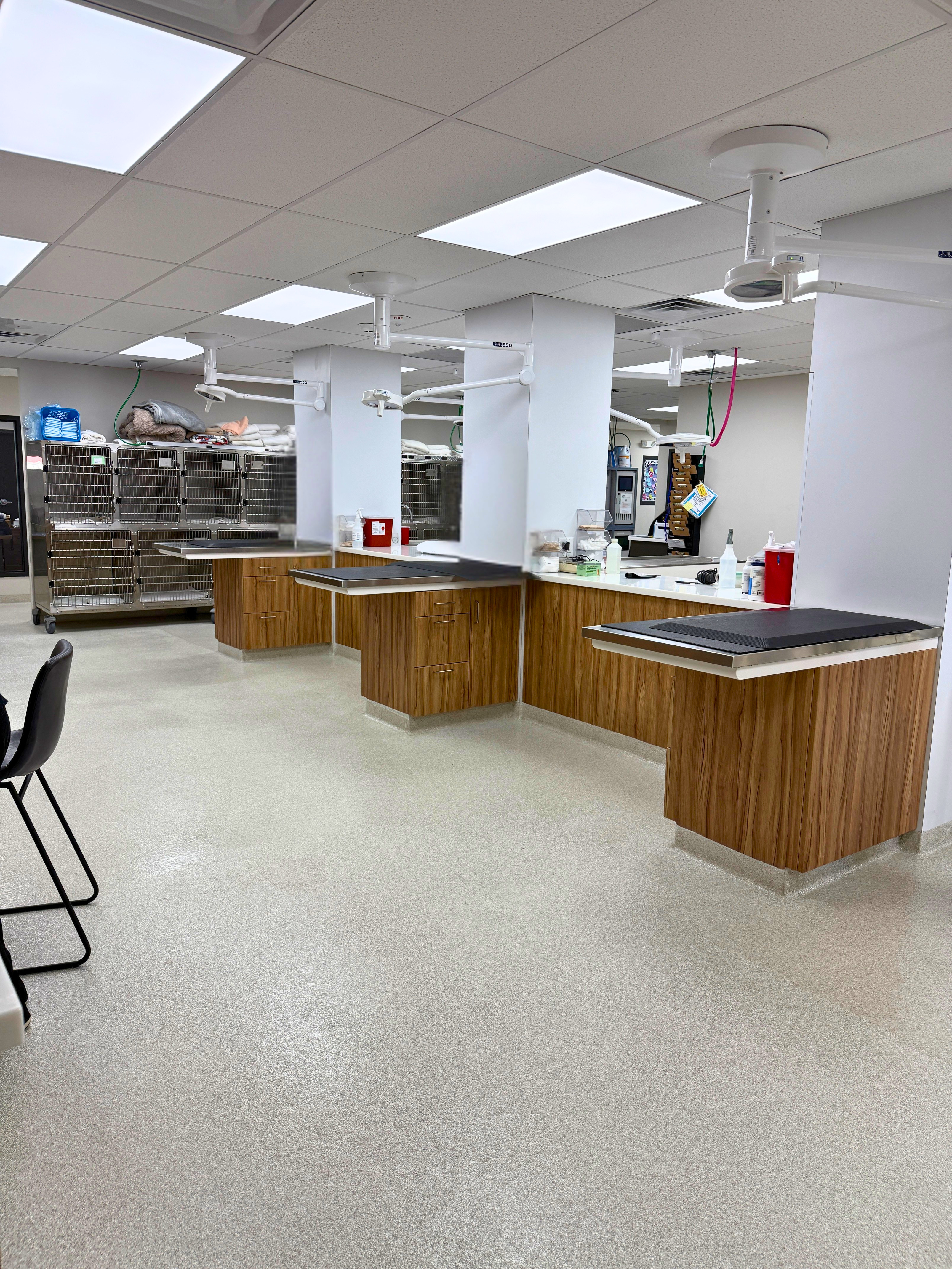 Treatment Area