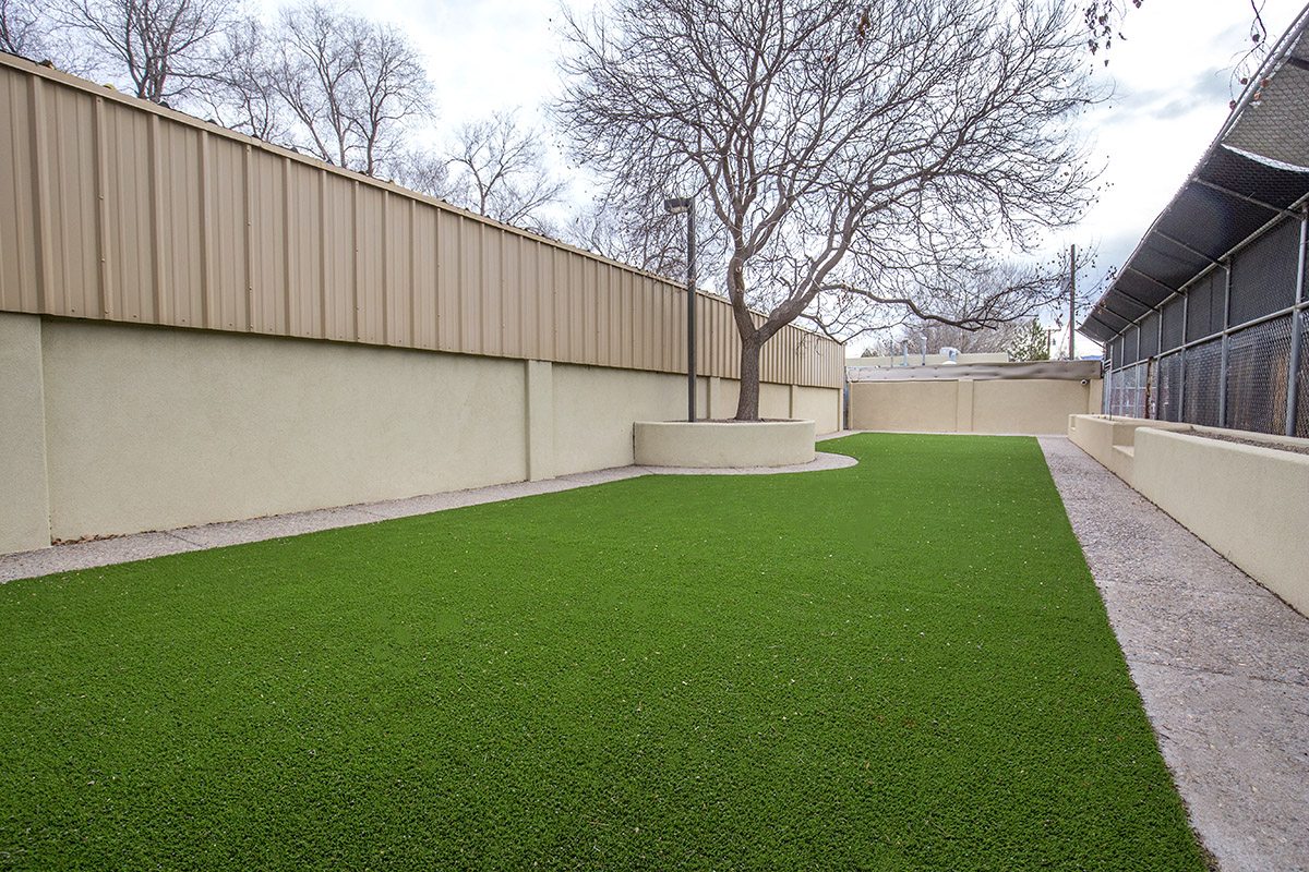 Grass Area Outside