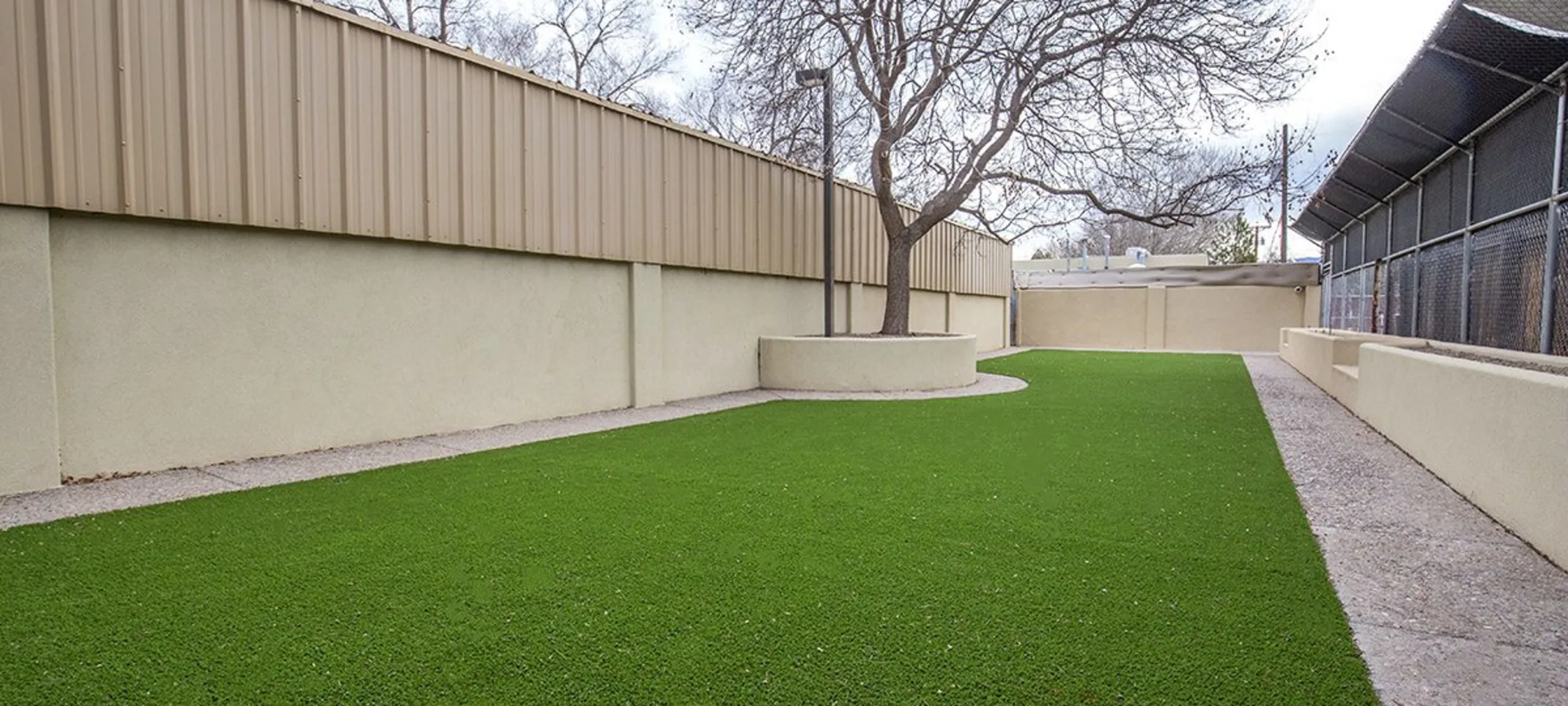 Grass Area Outside Grass Area Outside